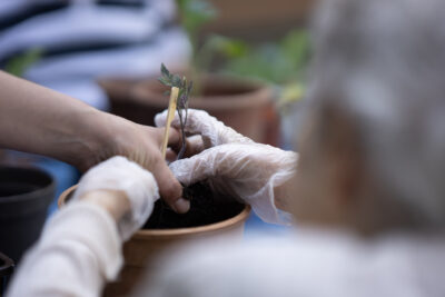 Activités extérieures